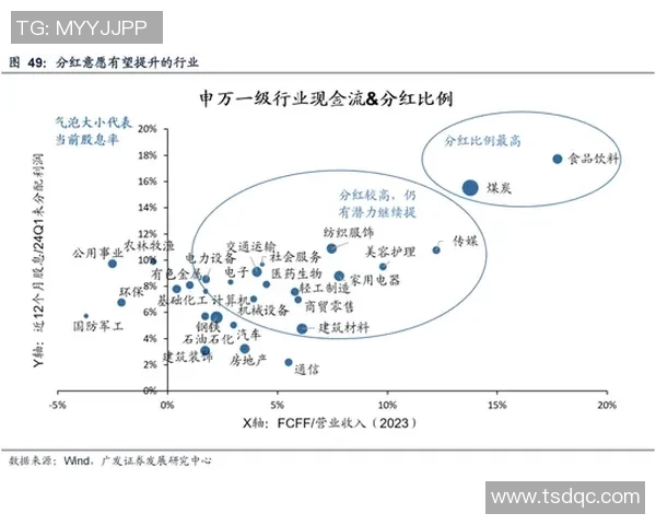 成都网球队的运营模式与发展策略深度解析 成都网球队的运营模式与发展策略深度解析
