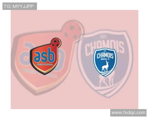 足球明星尼奥尔的传奇旅程与辉煌成就全解析